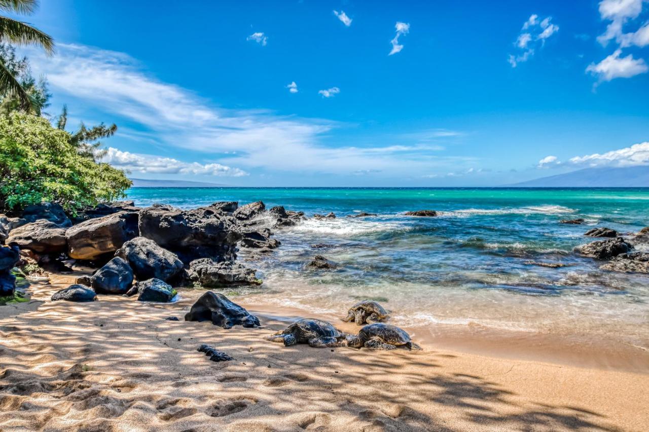 Ferienwohnung Mahina Surf Kahana Zimmer foto