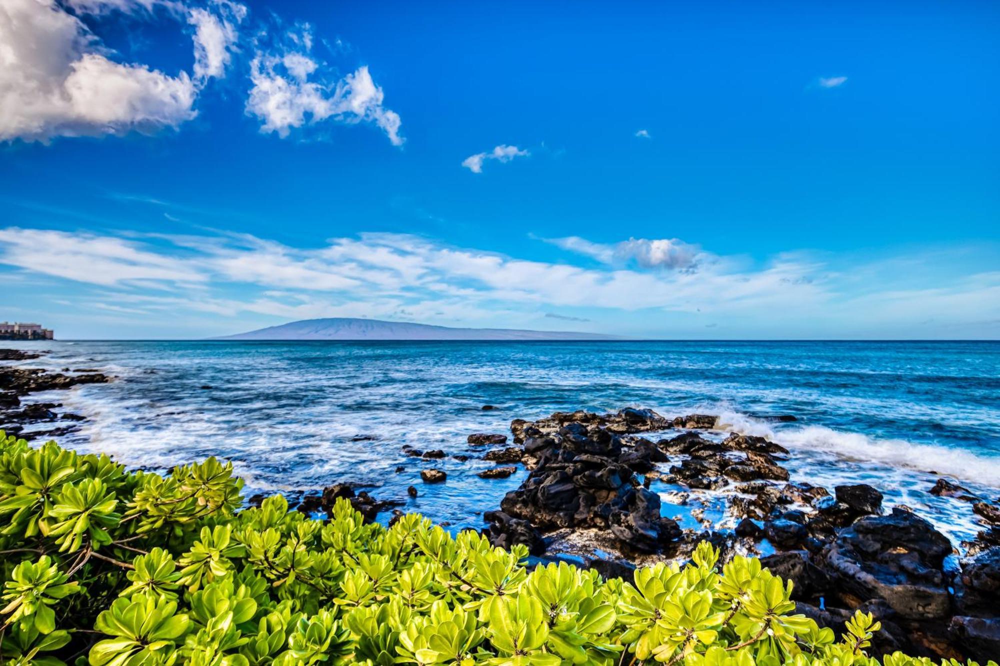 Ferienwohnung Mahina Surf Kahana Zimmer foto